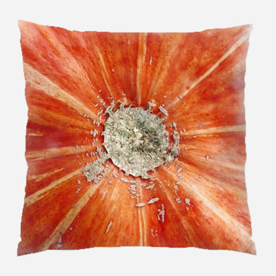  Coussin intérieur / extérieur Squash