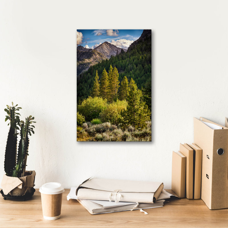 «Epic Graffiti» «In The Pioneer Mountains» par Rick Berk, art mural sur toile, 12 po x 18 po