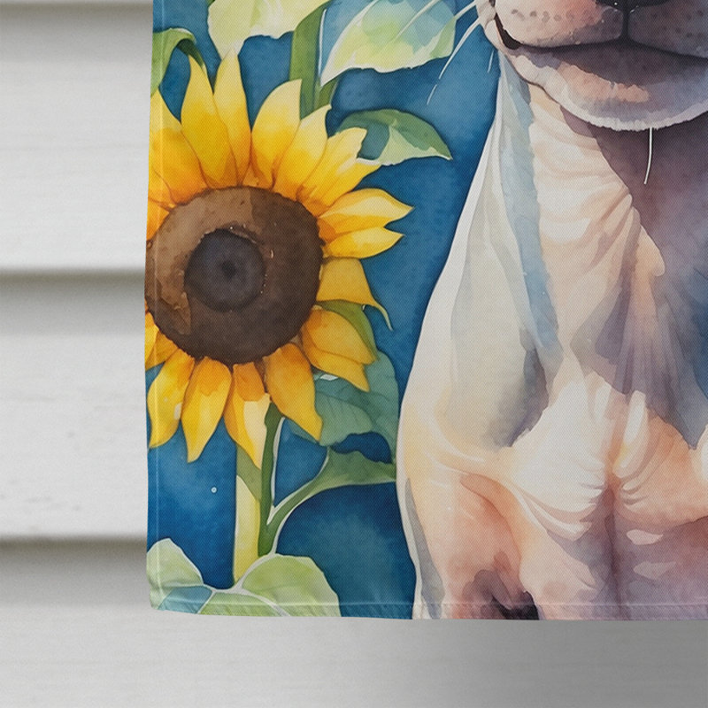 Drapeau de la maison du tournesol Malamute d'Alaska, Terrier américain sans poil