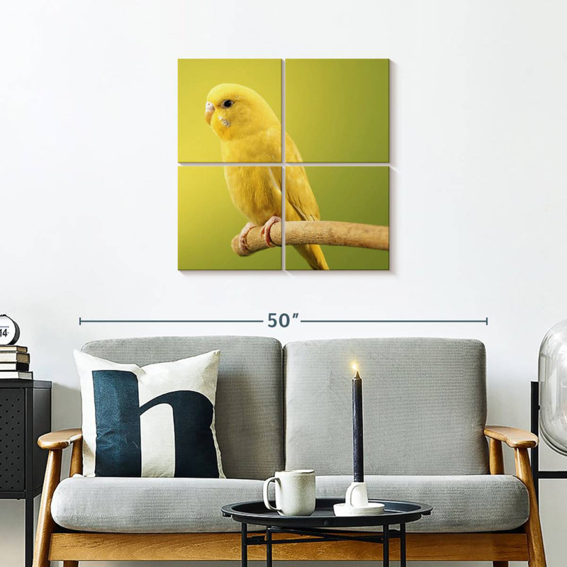 Perruche jaune perchée Brampt, H 26 po x l 26 po