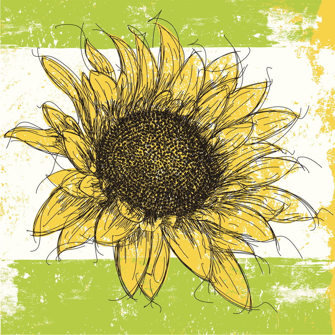 Sketchy Sunflower Background von Retrorocket - Kunstdrucke auf Leinwand ohne Rahmen