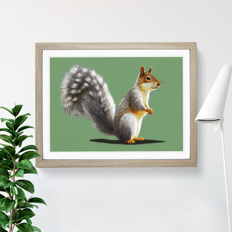 Beauteous Squirrel 1 Piece Single Picture Frame Wall Art, 46cm H x 64cm W x 2cm D, Grey Framed