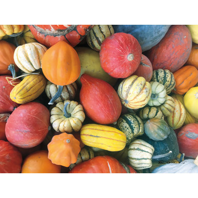Autumn Bounty - impression sur toile tendue