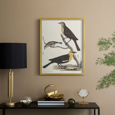 Vintage Animal Print XVIII Framed Print - Solid Wood