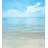 Coastal Polyester Duvet Cover-70911411