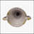 DELPHINE URN