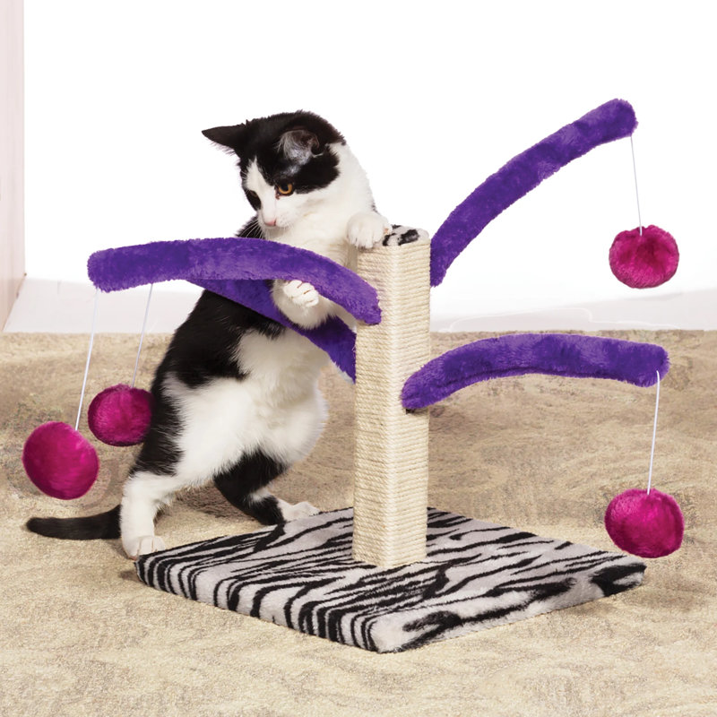 Bounce-N-Spring Easy Assemble Scratcher Cat Toy