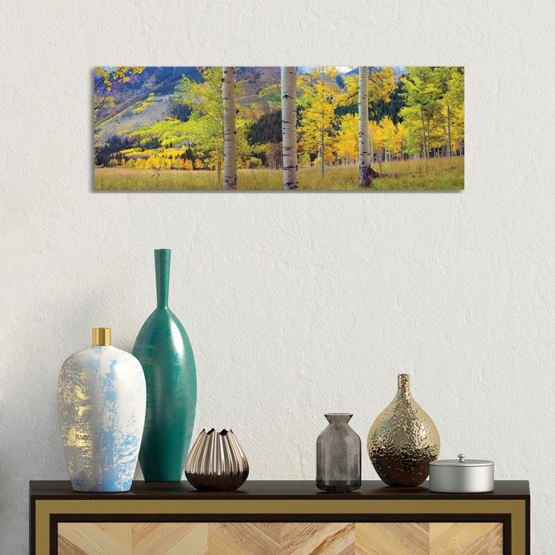 Quaking Aspen Grove In Autumn, Colorado by Tim Fitzharris - Wrapped Canvas Panoramic Print
