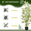 119.99 cm H Faux Bamboo Tree Plant in Plastic and Cement