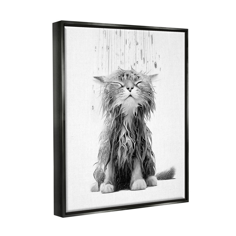" Kitten Bathroom Splash ", Jet Black Floater Frame, 21" H x 17" W x 1.7" D