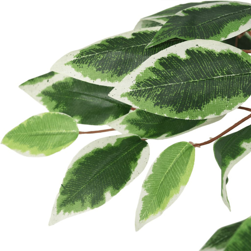 Faux Ficus Tree in Pot, 200cm H x 105cm W