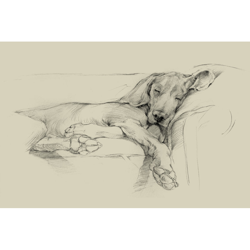 Dog Days I by Ethan Harper - Print on Canvas, 8" H x 12" W, Silver Single Picture Framed, Silver