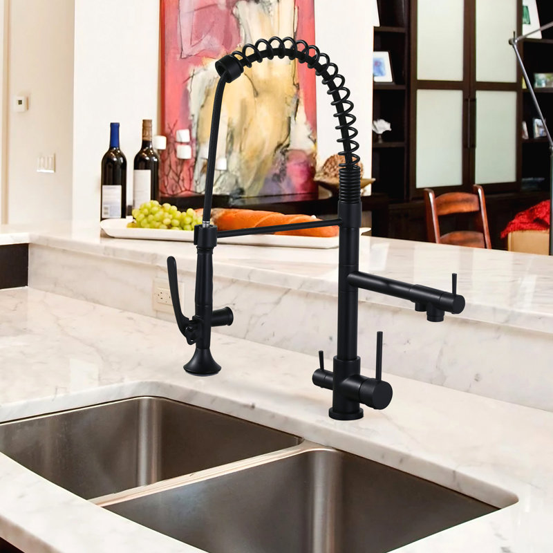 Robinet de cuisine escamotable de style commercial avec robinet d'eau de cuisine 3 en 1, Noir mat