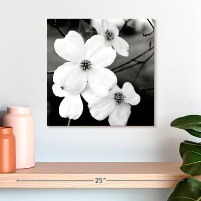 Harnek White Dogwood Flowers