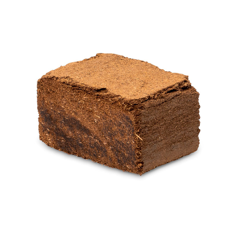 Odor Resistant Block