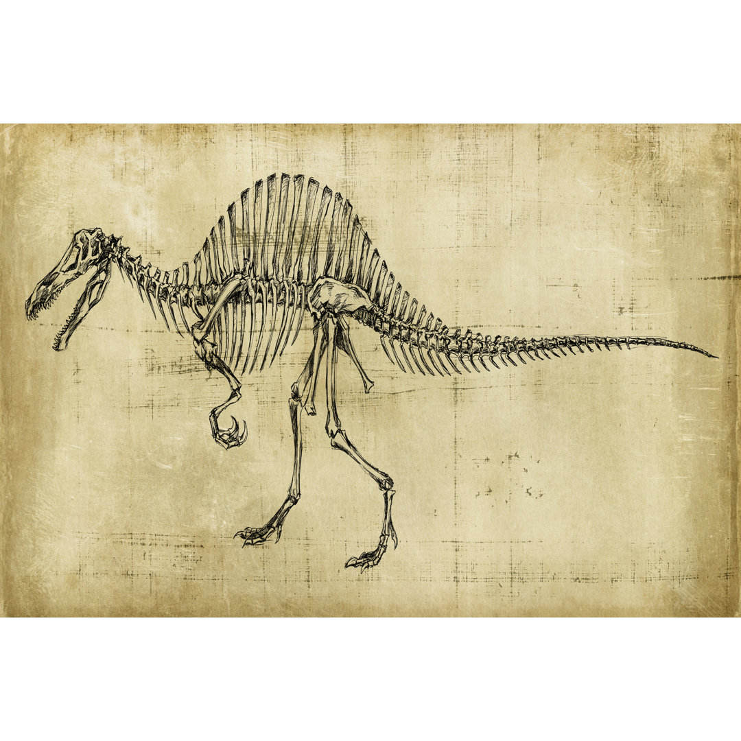 Leinwandbild Spinosaurus Study