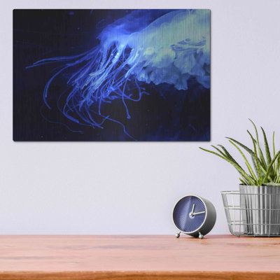 " Preditor' By Epic Portfolio, Metal Wall Art, 16"x12" " by Luxe Metal Portfolio