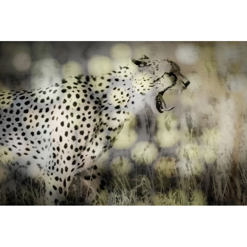Féroce Bokeh Leopard par Grotto Studios