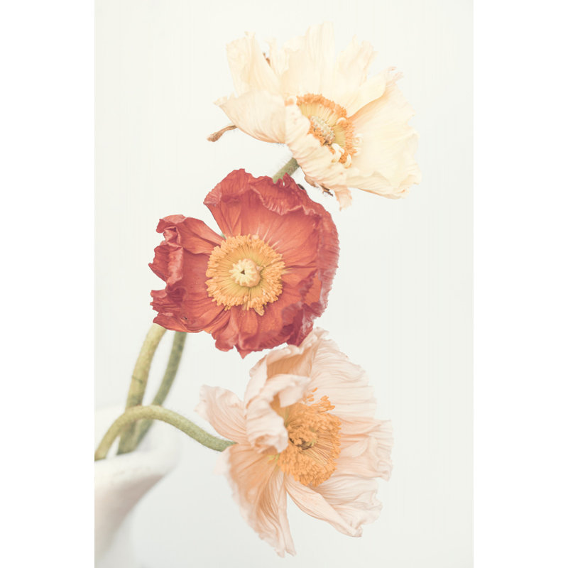 Wrapped Canvas Print, 76.2 cm H x 50.8 cm W