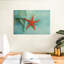 Brampt Ocean Treasures-107693547