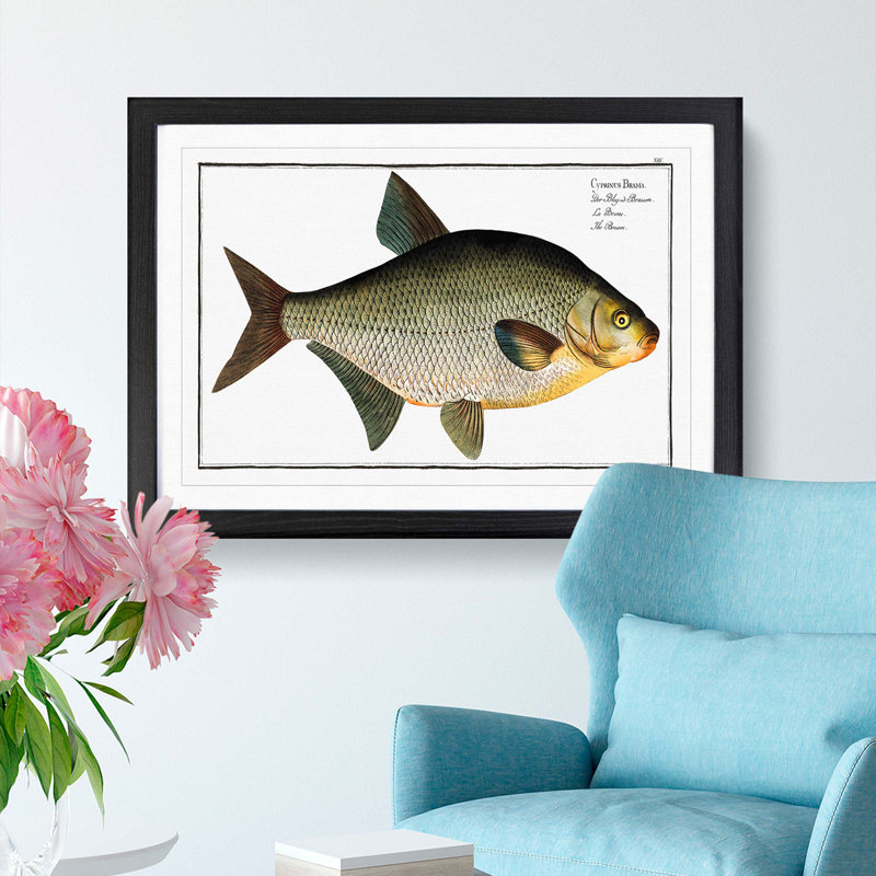 Bream Fish - Picture Frame Painting Print, Black Framed, 48cm H x 65cm W x 2cm D