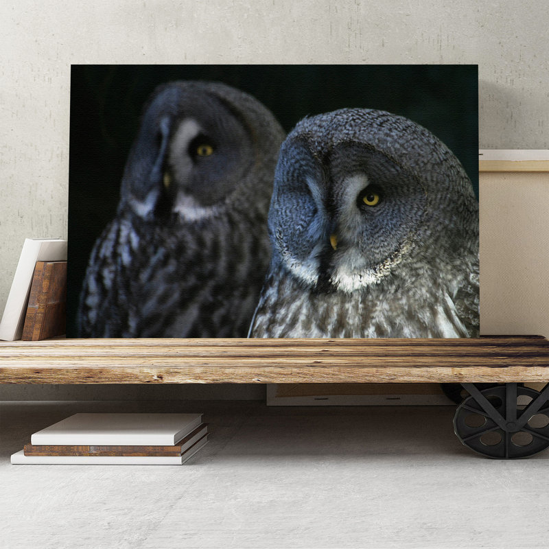 Wrapped Canvas Print, 35cm H x 50cm W