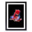 Eye-Catching Red & Blue Fish in Abstract - Picture Frame Painting Print-55535902-55535903
