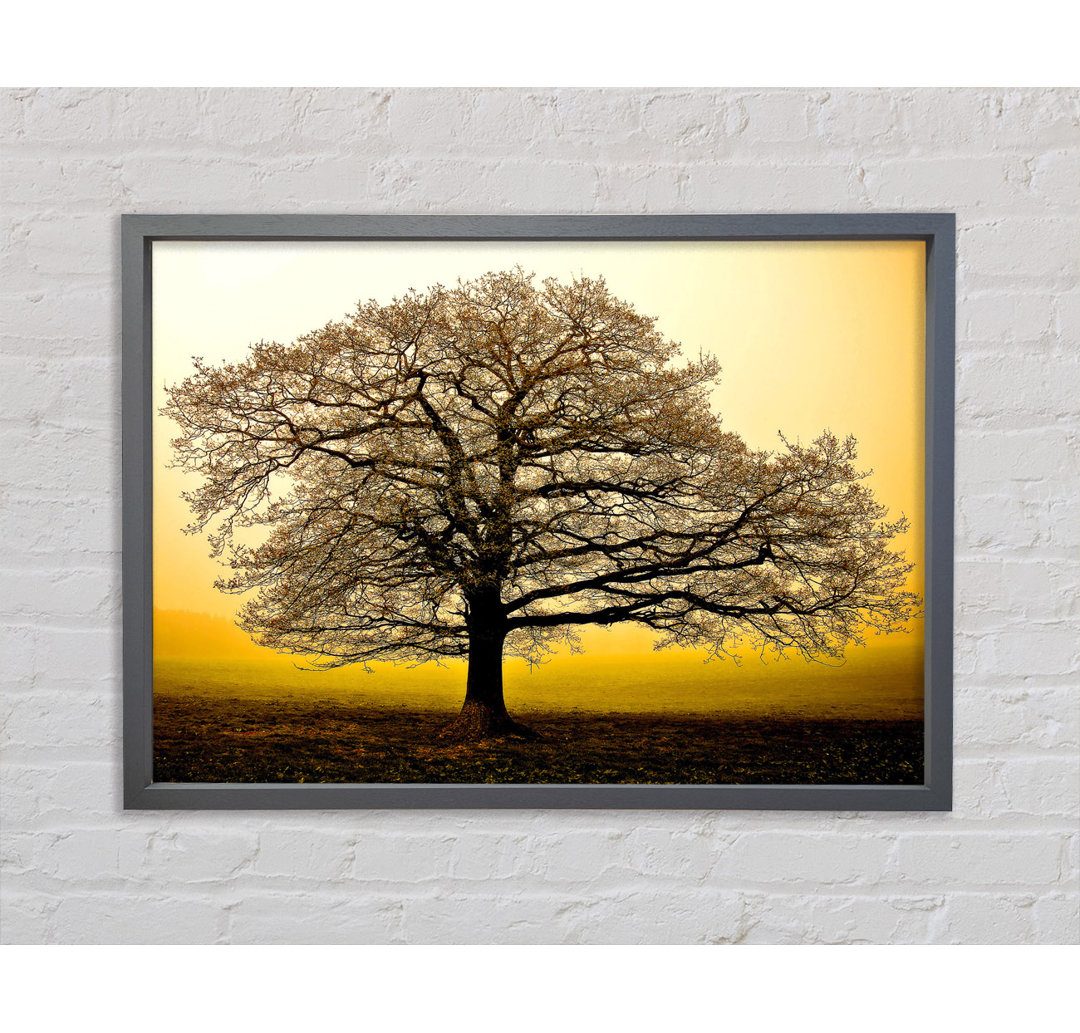 Beautiful Dusk Tree - Closed Corner Frame Kunstdruck auf