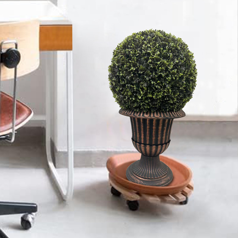 Plante de 24 po