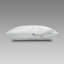 Microfiber Plush-1077656654