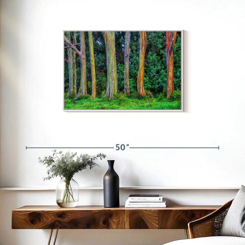 Eucalyptus arc-en-ciel, Cadre flottant blanc, 31 po x 21 po