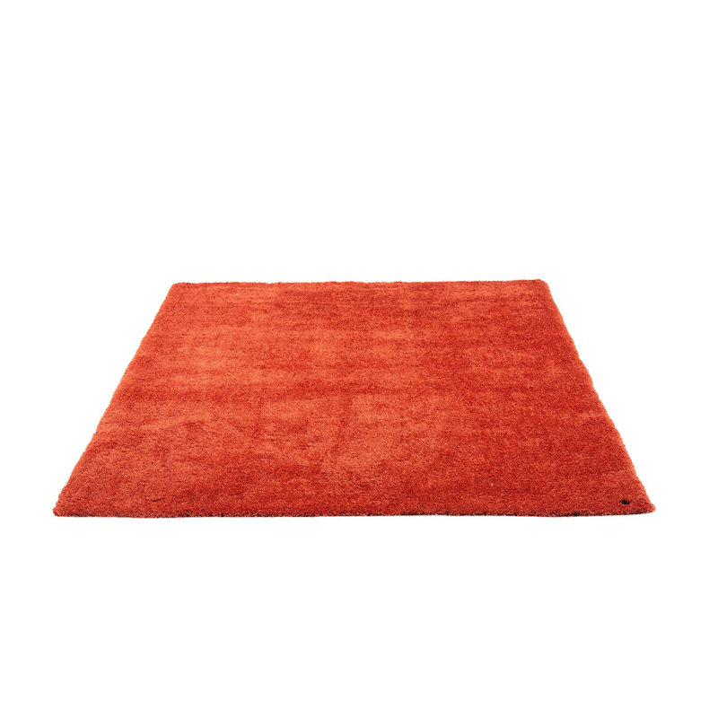 Solid Colour Hand Tufted Shag Area Rug, Rectangle 190 x 290cm