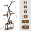 Plant Stand - Set of 10