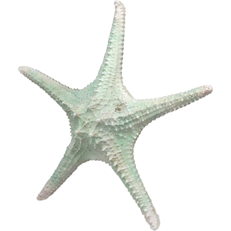 Grande statue de coquillage Coplin Ebros