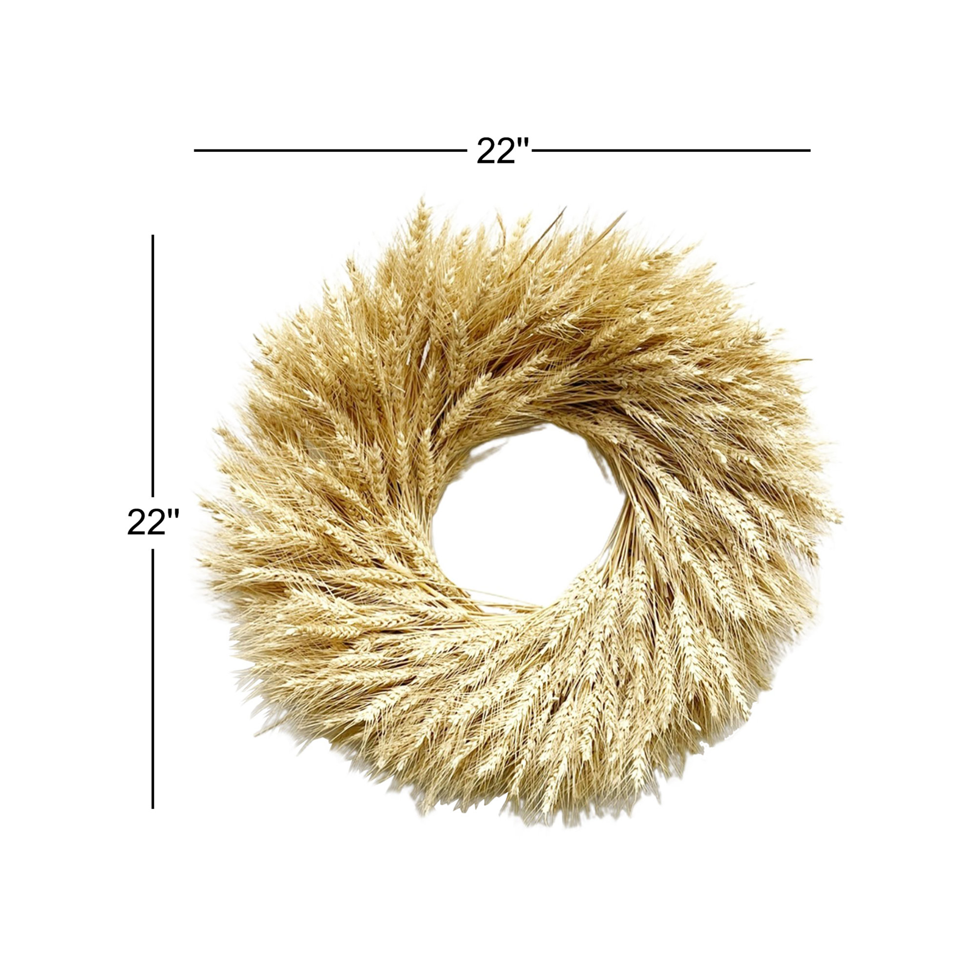 Preserved Natural Blonde Wheat 22" Fall Wreath, 22'' H x 22'' W