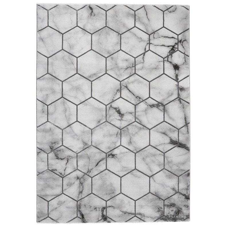 Amat area rug Machine Woven Rectangle Grey/Silver, Rectangle 120 x 170cm