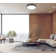 Arne 20.75 inch 1 Light Flush Mount in Matte Black