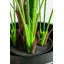 Faux palmier en pot-2140227808