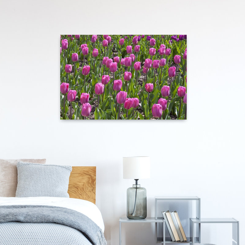 Close-up of Tulip flowers in a garden Cantigny Park Wheaton Illinois USA 1 Piece Wrapped Canvas Wall Art