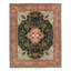 Oriental Area Rug in Green