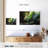 Alvord Forest In Panama-107490019