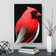 CAN-V0523-351X Cardinal Bird Abstract - Wrapped Canvas Print