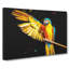Yellow Macaw Parrot - Wrapped Canvas-56646460