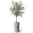 Bandes vertes Conbination