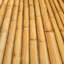 Rouleau de papier peint moutarde jaune moutarde et bambou moderne tropical