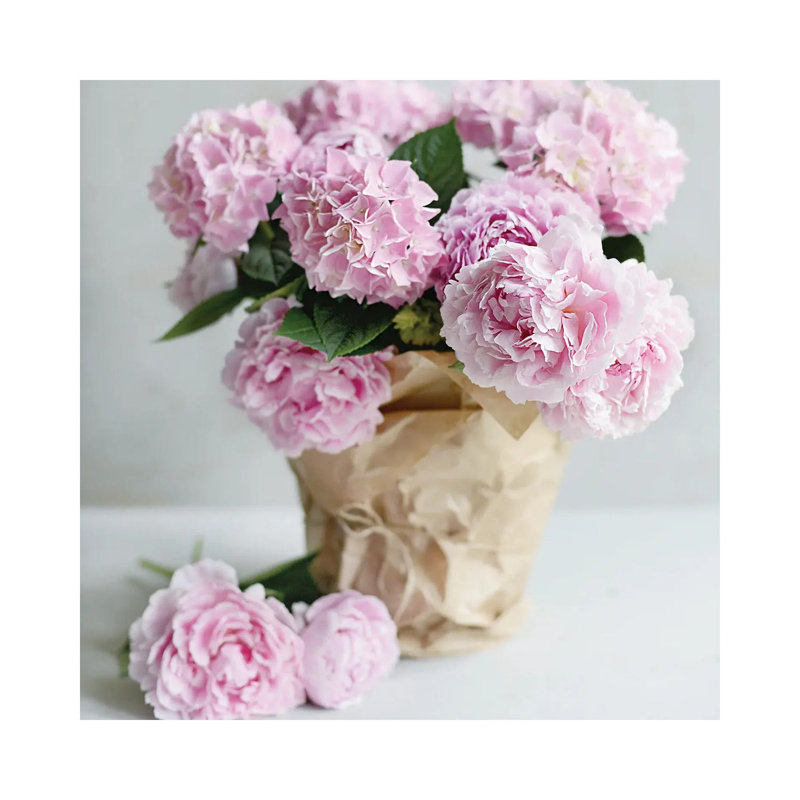 Pink Blooms by Sarah Gardner - Print on Canvas, Wrapped Canvas, 30.48 cm H x 30.48 cm W