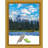 Soryn Gold Single Picture Frame