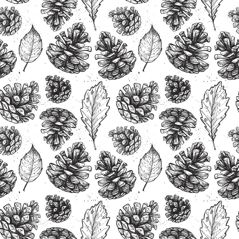 Pattern with pine cones 1 Piece Wrapped Canvas Wall Art, 30cm H x 30cm W