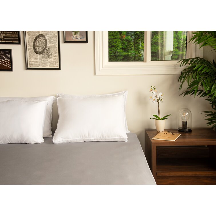 Alwyn Home Knotweed Fiber Plush Pillow & Reviews