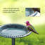 Salome Plastic / Acrylic Fountain Birdbath-126622852